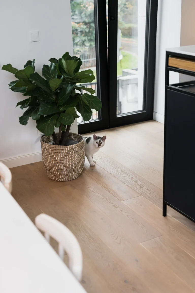 Podloga-drewniana-w-kuchni-i-kot